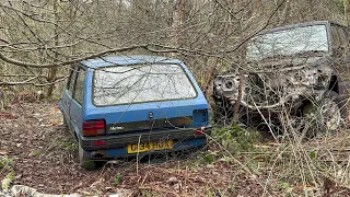 Car graveyard with a angry dog