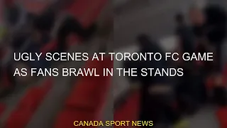 #stands #brawl #game #fans #scenes #Ugly #Toronto