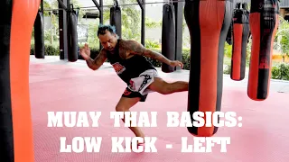 Muay Thai Basics: Low Kick (Left) - AKA Techniques