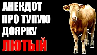 Анекдот про колхоз (Как одна тупая доярка ничего не понимала)