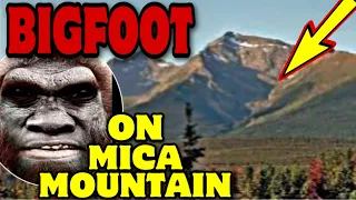 BIGFOOT encounter on MICA MOUNTAIN ! Bigfoot encounters location