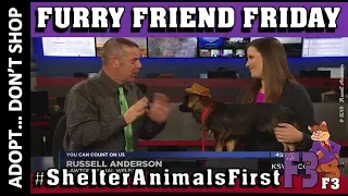 Furry Friend Friday, Oklahoma Pet of the Week, WILLIE NELSON