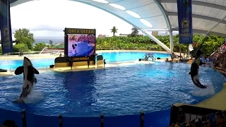 Tenerife Orca-Show !!! LORO PARQUE Full video !!!