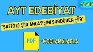 SAF (ÖZ) ŞİİR  / 65 Günde AYT Edebiyat Kampı / 48. GÜN