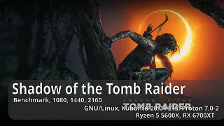 Shadow of the Tomb Raider, Proton 7.0-2 Linux , Benchmark