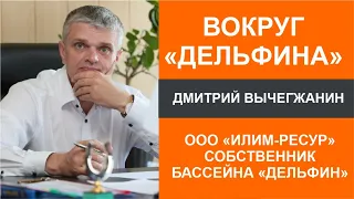 Вокруг "Дельфина". Версия Дмитрия Вычегжанина