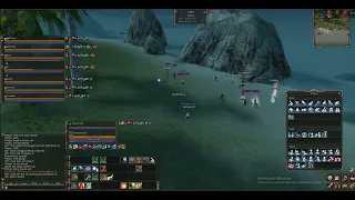 Lineage 2 Ressurected / Alligator island / PvP vs Mages