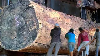 Buried 5000 Years || Sawing Legendary Wood From Zionist Land