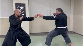 musha dori -Ninjutsu Technique