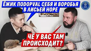 НАША ИСТОРИЯ ВРАНЬЕ? | ПРОСВЕЩЕНИЕ КАЗАХА ЗА ЧАС!