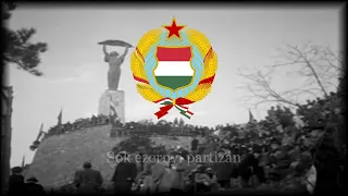 "Amuri partizánok dala" Partisan's Song in Hungarian [HUN LYRICS]