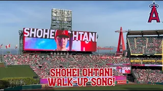 2023 SHOHEI OHTANI LIVE WALK-UP SONG! | 2023 Angels Baseball