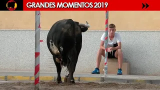 🤩 GRANDES MOMENTOS de 2019 · Cuarta y última parte