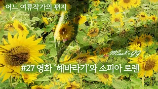 #27 영화 #해바라기와 #소피아 로렌   어느 #여류작가의 #편지