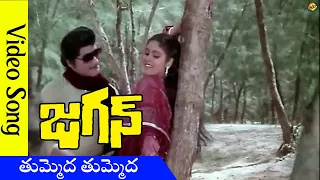 తుమ్మెద తుమ్మెద Video Song | Jagan Movie Video Songs | Shoban Babu |Jayasudha | Vega Music