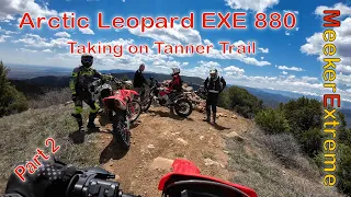 Arctic Leopard - Taking on Tanner Trail - Part 2