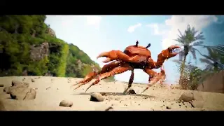 Crab Rave but there's no Music Just Crabs Dancing