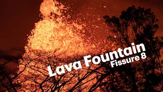 Kilauea Eruption Hawaii : 2018 Lava Fountain Fissure 8