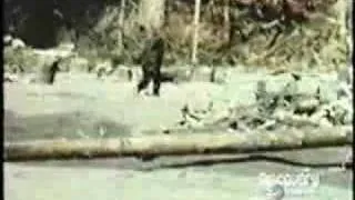 Bigfoot Patterson Film Part 2