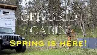 Off Grid Cabin - Spring Is Here