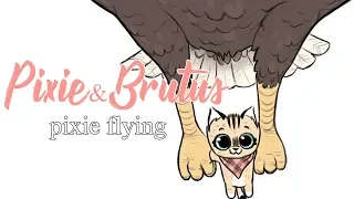 Adoption - Part 2 - Eagle Story | Pixie and Brutus Comic Dub