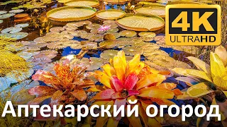 Аптекарский огород