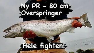 Havørredfiskeri Forår: Ny PR 80cm - Mit livs Største Havørred