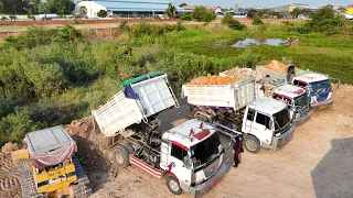 100% Complete, Filling Land By Skills KOMATSU D31p Dozer Pushing Dirt & 5Ton Truck Unloading