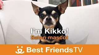 Best Friends TV Episode 21: Kikko the Salon Mascot