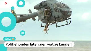 Politiehond wordt gedropt uit helikopter en stopt nep-crimineel