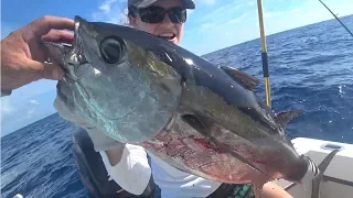MONSTER BLACK FIN TUNA! {CATCH CLEAN COOK} DEER MEAT FOR DINNER