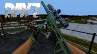 DVL-10! A MARKSMANS DREAM! -  DAYZ