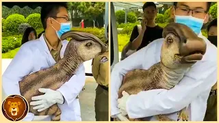 Ce Que Cet Homme a Découvert en Chine a Choqué Tout le Monde