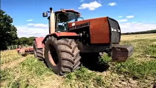 Case IH STEIGER 9350 ze złomu w akcji. Joker 6RT. Awaria kombajnu Claas Lexion 660. Żniwa 2023.