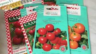 Что буду сажать в 2019 году. Сорта и гибриды томатов 🍅