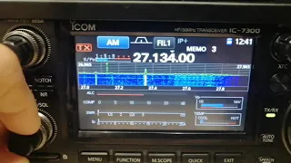 Noise Blanker Icom ic 7300. Filtrado de ruido