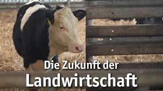 Was bewegt junge Landwirte? (Reportage)