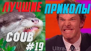 COUB ЛУЧШЕЕ #19 ЖЕСТЬ 2015 УГАРНЫЕ ПРИКОЛЫ 2015