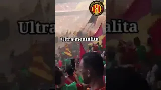 siamo differenti ultras mentalita 🇧🇪 curva sud