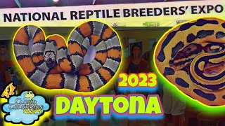 Daytona National Reptile Breeders Expo 2023(Full Walkthrough)