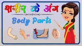 Body Parts Name  | शरीर के अंगों के नाम |