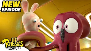 The Rabbid stowaway (S04E34) | RABBIDS INVASION | New episodes | Cartoon for Kids