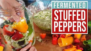 Probiotic FERMENTED PEPPERS: Use Any Kind of Pepper -  Spicy or Sweet