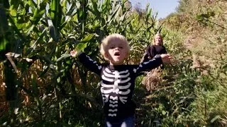 Navigating a Corn Maze Hamill Style | Our Little Family