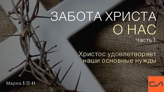 Марка 6:33-44. Забота Христа о нас (часть 1) | Андрей Вовк | Слово Истины