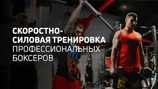 Cкоростно-силовая тренировка профессиональных боксеров в период кэмпа