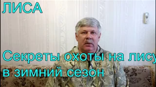 Секреты охоты на лису