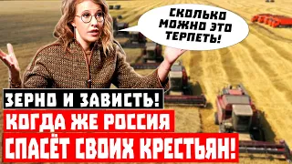 Зерно и ЗАВИСТЬ! Когда же Россия спасёт своих крестьян!