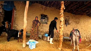 Nomadic and Village Life: House Chores, Animal Care, and Mountain Living in Heavy Rain