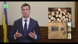 Лісокористувачів зобов’язали користуватися системою електронного обліку деревини - Дайджест новин